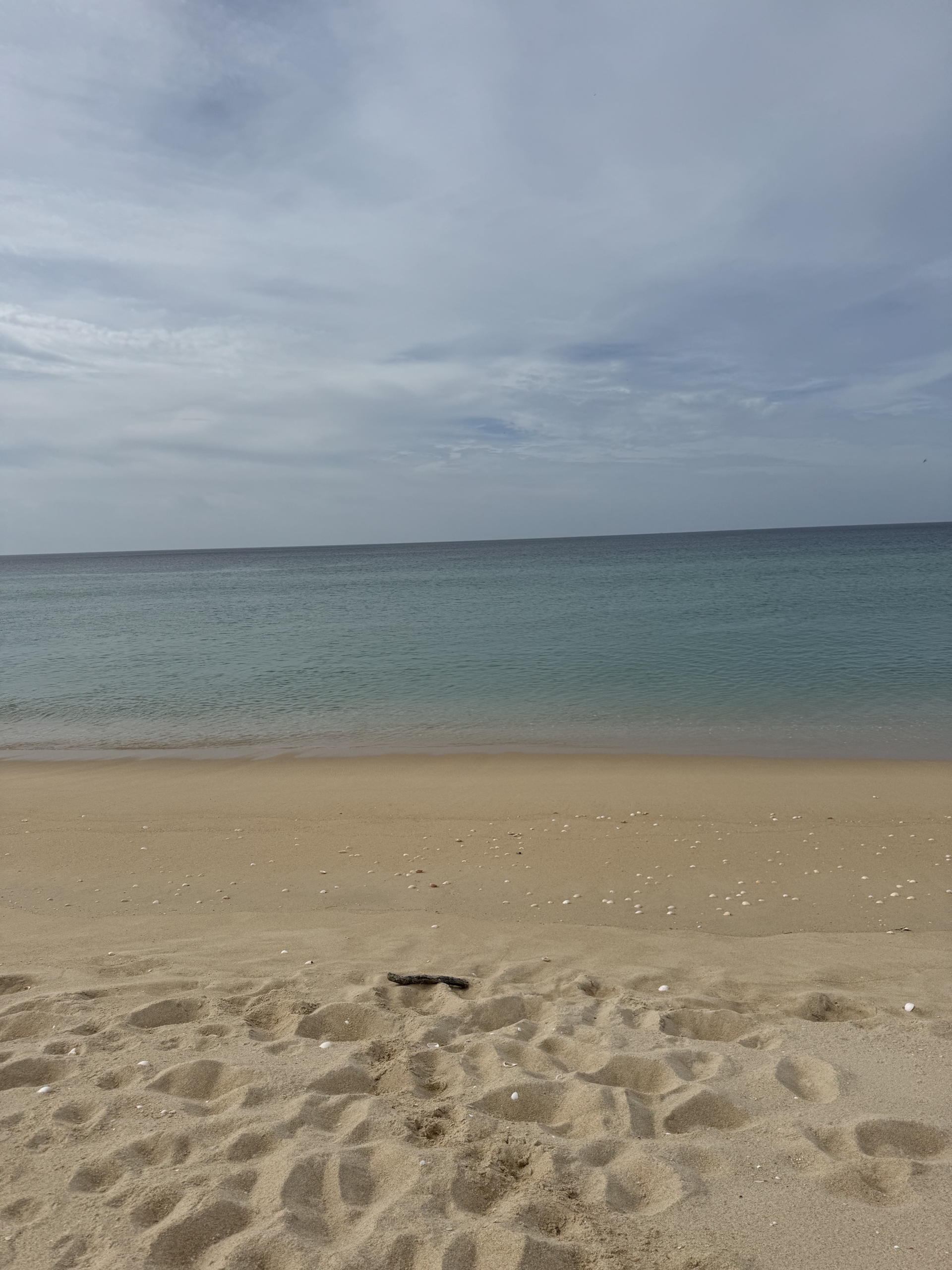 Carvalhal Beach, 500 m walking distance
